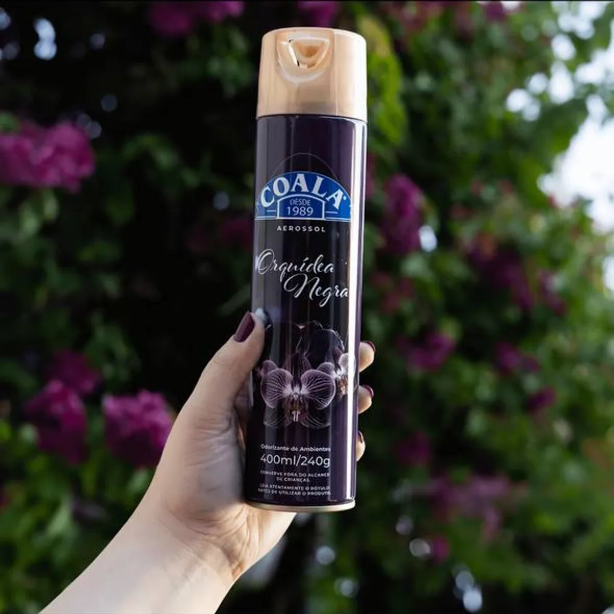 Coala Orquídea Negra aerossol odorizador 400ml
